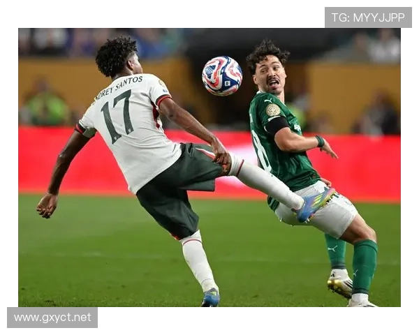 恩佐·费尔南德斯：世界杯爆发表现是否可持续？